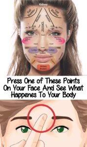 Press one Of These Points on your Face and see what happens to your Body