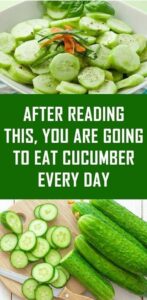 After Reading This, You Are Going To Eat Cucumber Every Day!