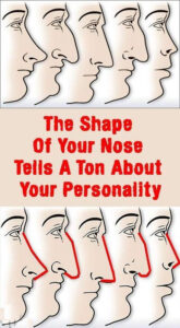 Your Nose Shape Tells A Ton About Your Personality…